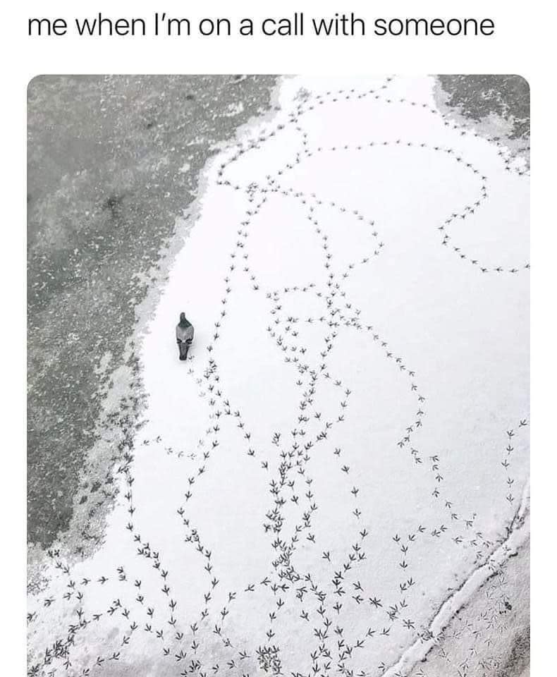 Person standing on snow-covered ground surrounded by scattered bird tracks, with text: "me when I'm on a call with someone."