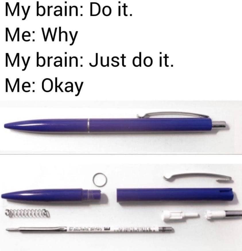 Text meme with a dialogue between "My brain" and "Me," showing a pen disassembled in a lower image
