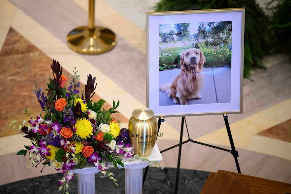 The couple’s beloved dog Gilbert, who died days after the attack from his wounds, was also honored at the service (The Minnesota Star Tribune)