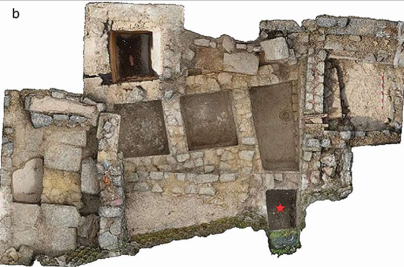 3D reconstruction of the fish salting plant at Adro Vello. The location of the vat is marked with a red star. Credit: Archaeology Department of the University of Vigo, from Antiquity (2025). DOI: 10.15184/aqy.2025.73. https://doi.org/10.15184/aqy.2025.73 Ancient DNA provides a new means to explore ancient diets