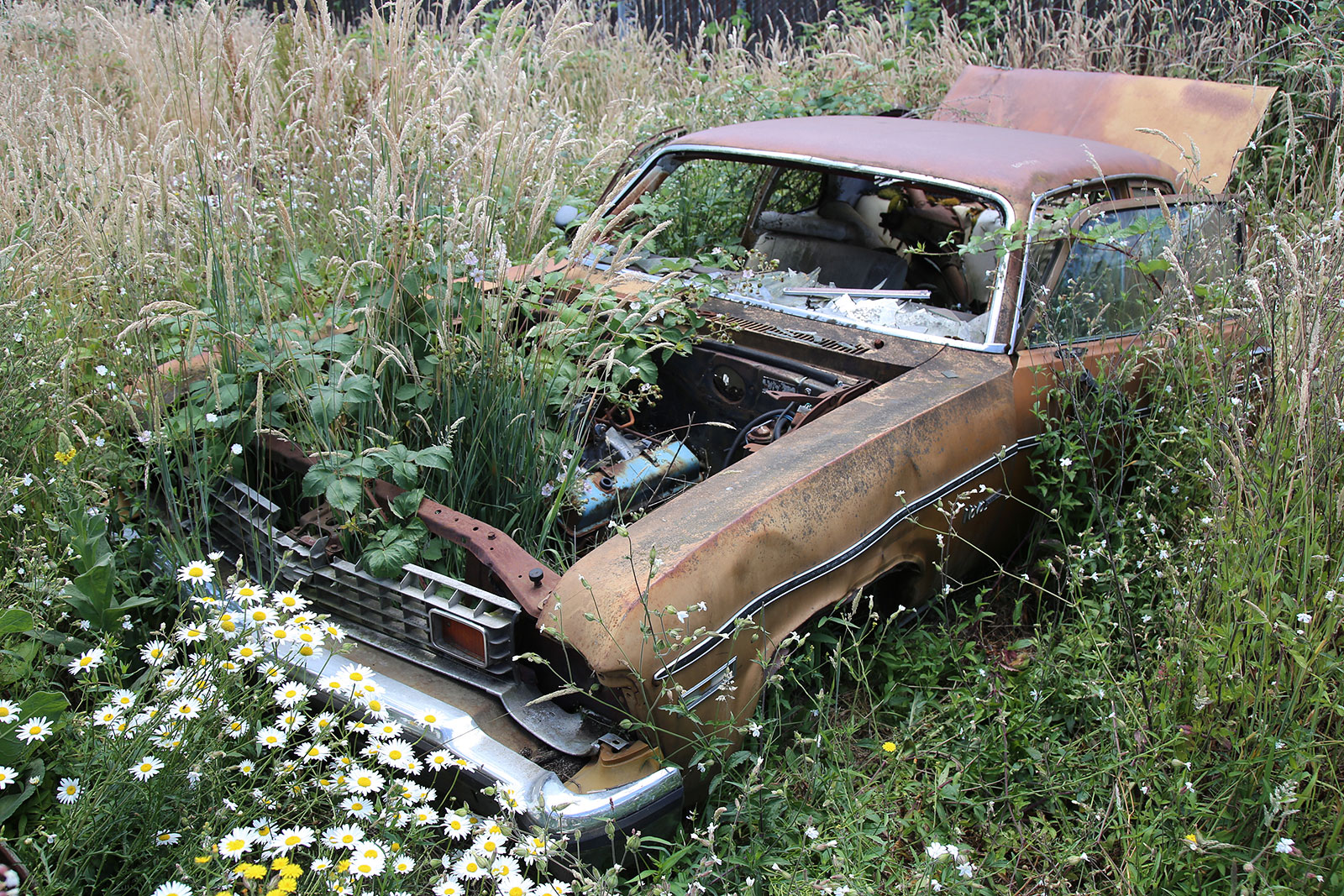 CHEVROLET NOVA - 1973
