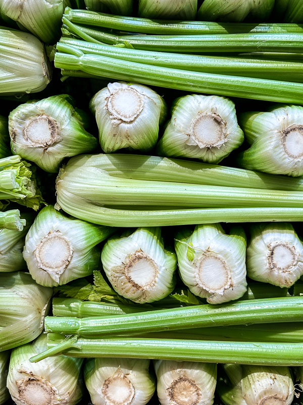 My Everyday Life Week 44 of 2025- Tracy Benjamin of Shutterbean.com