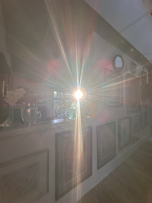 My Everyday Life Week 44 of 2025- Tracy Benjamin of Shutterbean.com