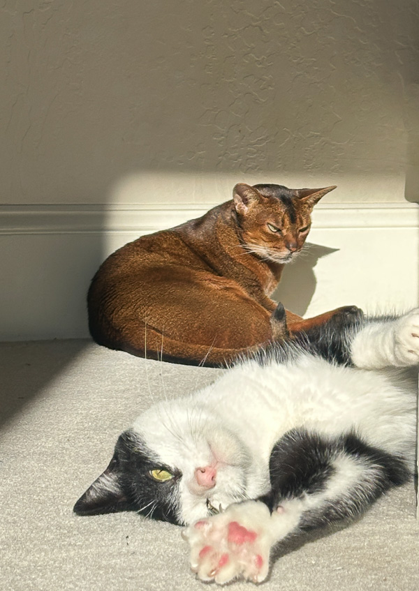 My Everyday Life Week 03 of 2026- Tracy Benjamin of Shutterbean.com