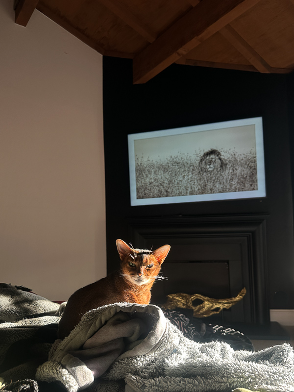 My Everyday Life Week 03 of 2026- Tracy Benjamin of Shutterbean.com