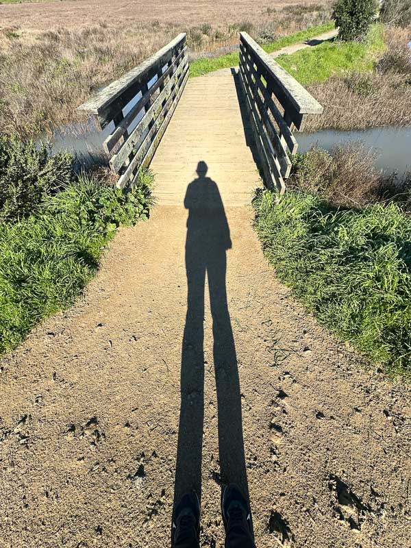 My Everyday Life Week 03 of 2026- Tracy Benjamin of Shutterbean.com