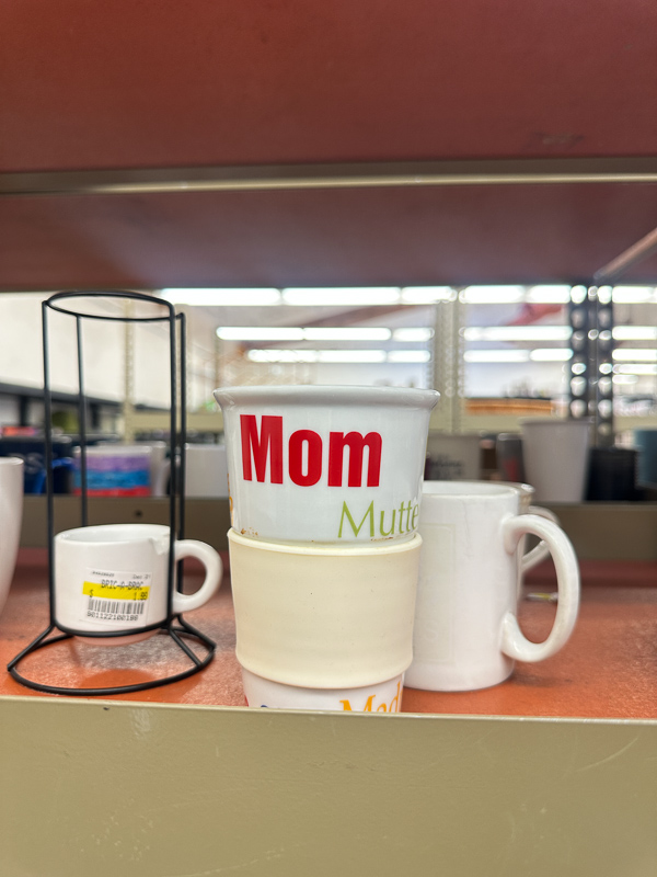 My Everyday Life Week 03 of 2026- Tracy Benjamin of Shutterbean.com