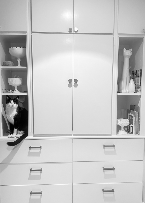 My Everyday Life Week 03 of 2026- Tracy Benjamin of Shutterbean.com